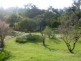 /album/unidade-vargem/vargem-14-jpg/